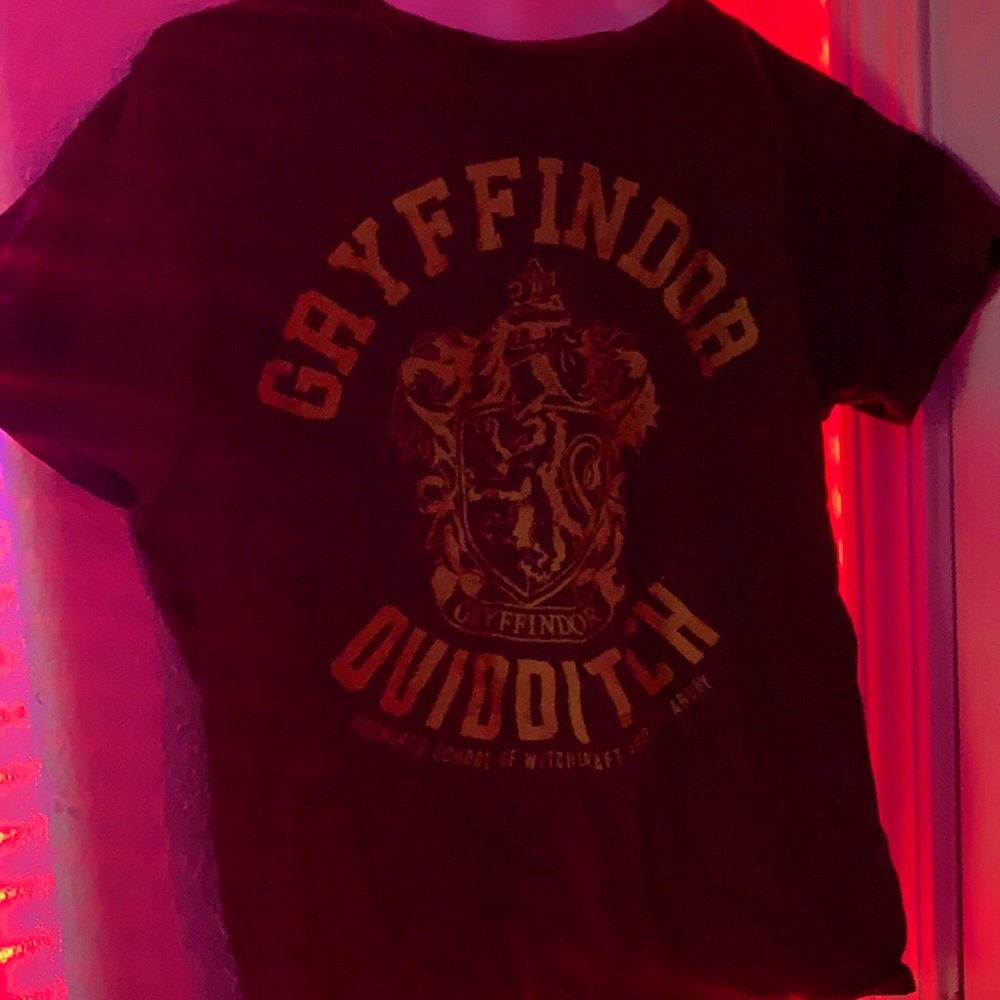 Harry Potter: Gryffindor Quidditch T-Shirt!